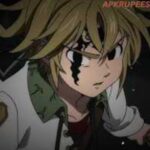 Meliodas Injector