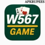 W567 Game