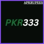 PKR333 Game